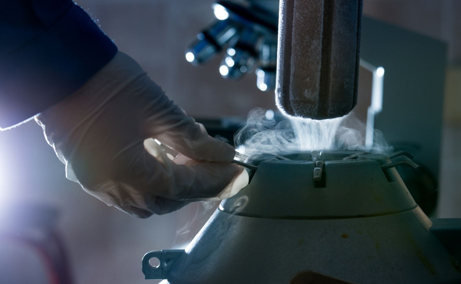 iStock 1219541084slow freeze vs mf blog chayaMAIN