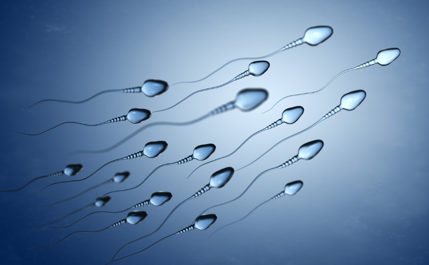 illustration of sperm cells.jpg s=1024x1024&w=is&k=20&c=yW5rXDRyS6H4uU0hTKYtNAZBaHV apze7fURvG YOZ4=