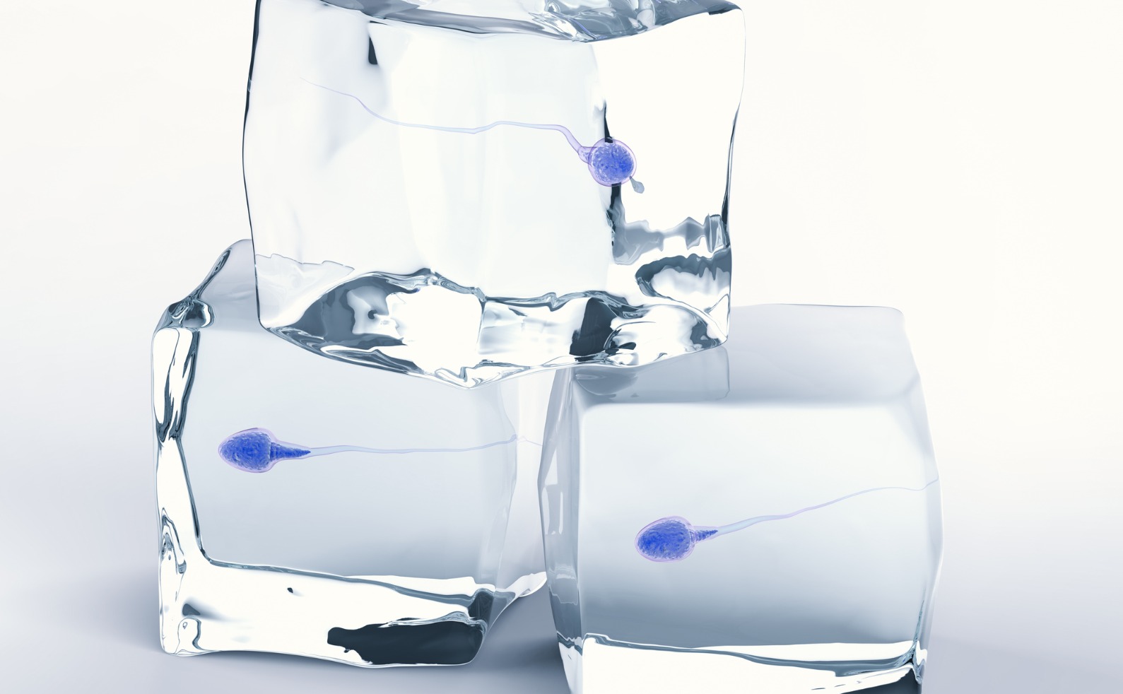 frozen sperm for sperm bank picture id641135148