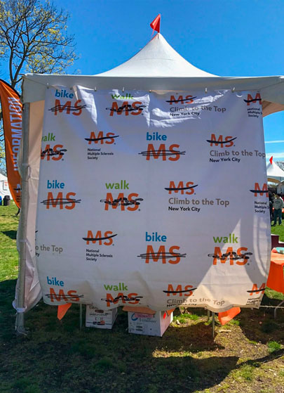 MS WALK 2